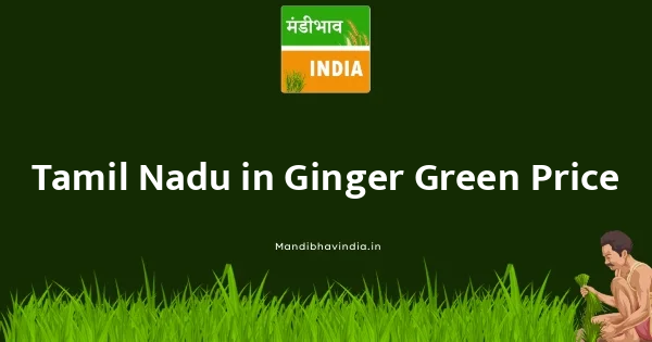 Ginger Green भाव